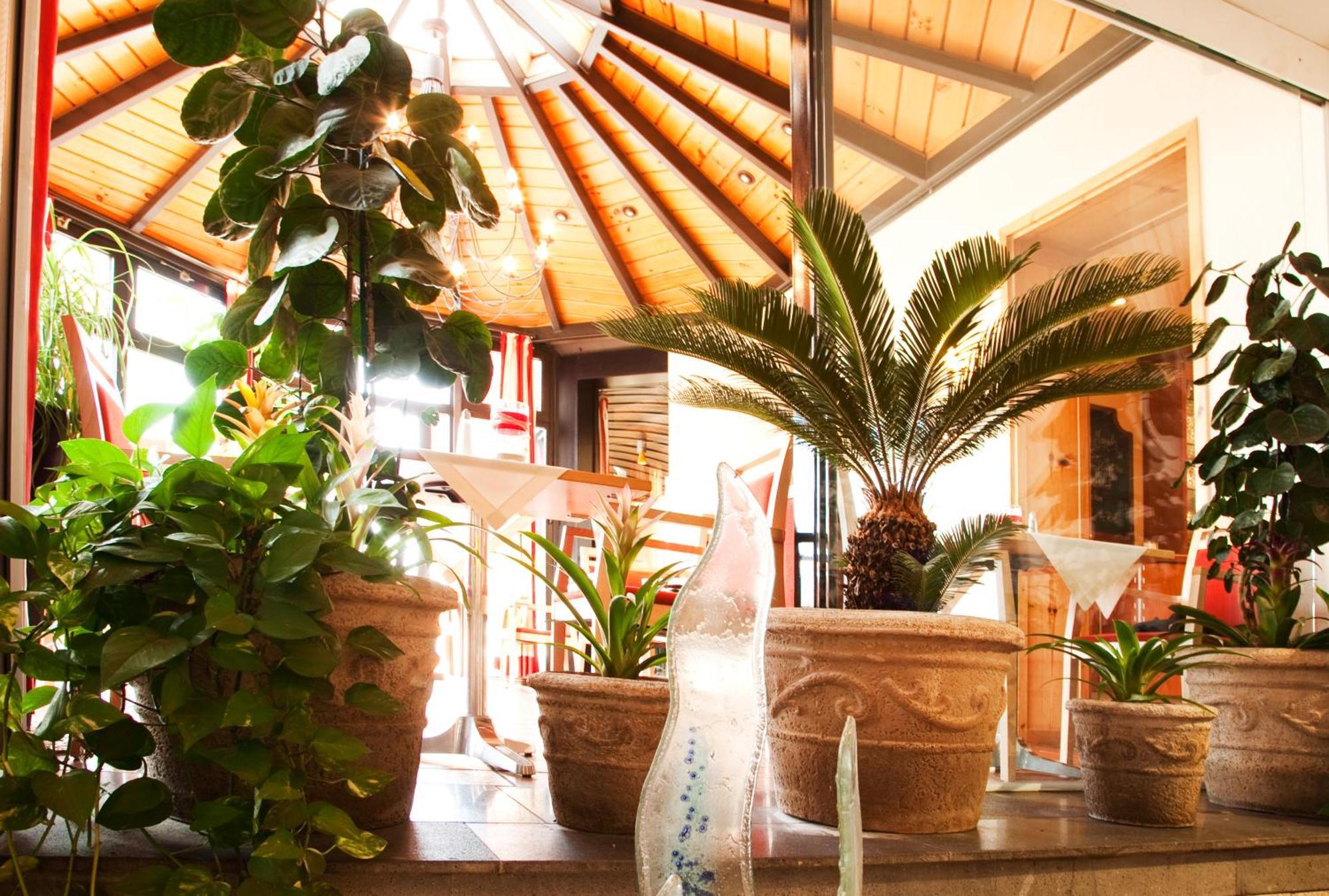 Hotel Bacchus Бенсхайм Интериор снимка